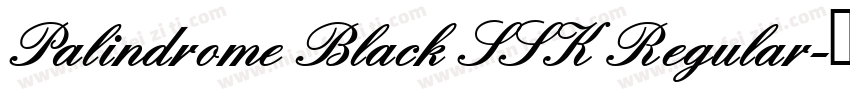 Palindrome Black SSK Regular字体转换